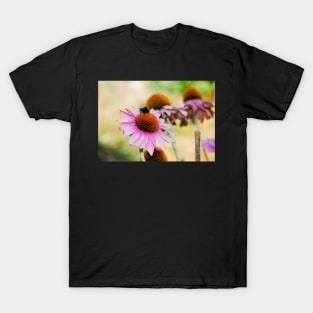 Echinacea Purpurea with Bee T-Shirt